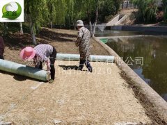 生態護坡毯易養護